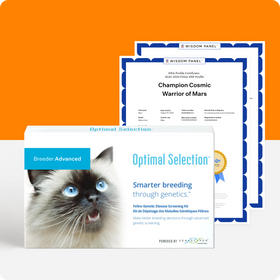 Optimal Selection Advanced - Feline