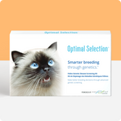 Optimal Selection™ Feline