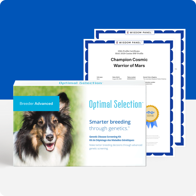 Optimal Selection Advanced - Canine