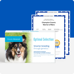 Optimal Selection Advanced - Canine