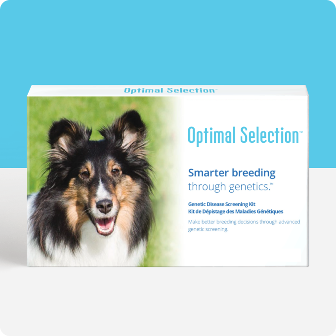 Optimal Selection™ Canine