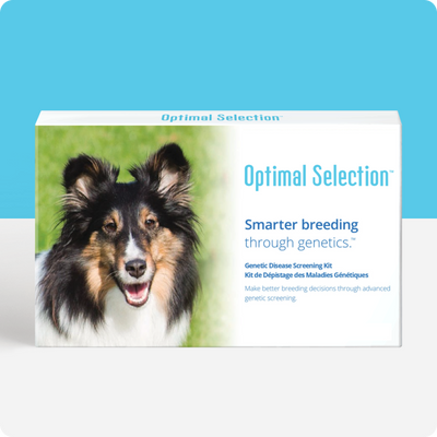 Optimal Selection™ Canine