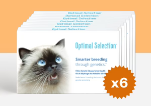 Product_Multi_Animal_Cat_Brand_OS_Shape_Rectangle_sm_0d277c7d-ff55-4dc5-96c9-6ced90b988e1.avif