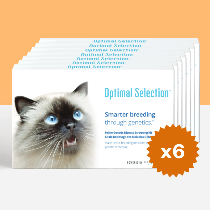 Product_Multi_Animal_Cat_Brand_OS_Shape_Square.png
