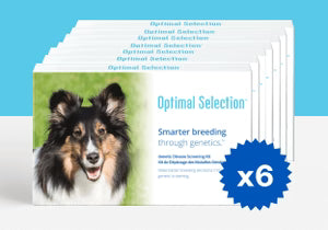 Product_Multi_Animal_Dog_Brand_OS_Shape_Rectangle_sm.avif