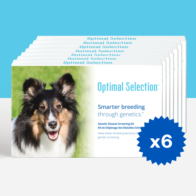 Product_Multi_Animal_Dog_Brand_OS_Shape_Square.png
