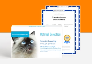Product_Premium_Animal_Cat_Brand_OS_Shape_Rectangle_sm_7d46063d-797a-4472-8203-d07e7778d48d.avif
