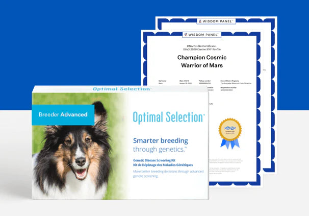 Product_Premium_Animal_Dog_Brand_OS_Shape_Rectangle_sm.webp