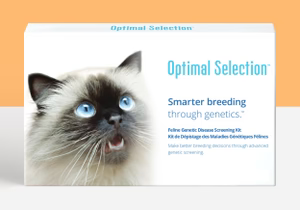 Product_Standard_Animal_Cat_Brand_OS_Shape_Rectangle_sm_025b3e65-cef8-43f8-ac1b-8b844bf9195c.avif