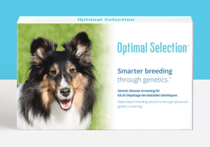 Product_Standard_Animal_Dog_Brand_OS_Shape_Rectangle_sm.avif